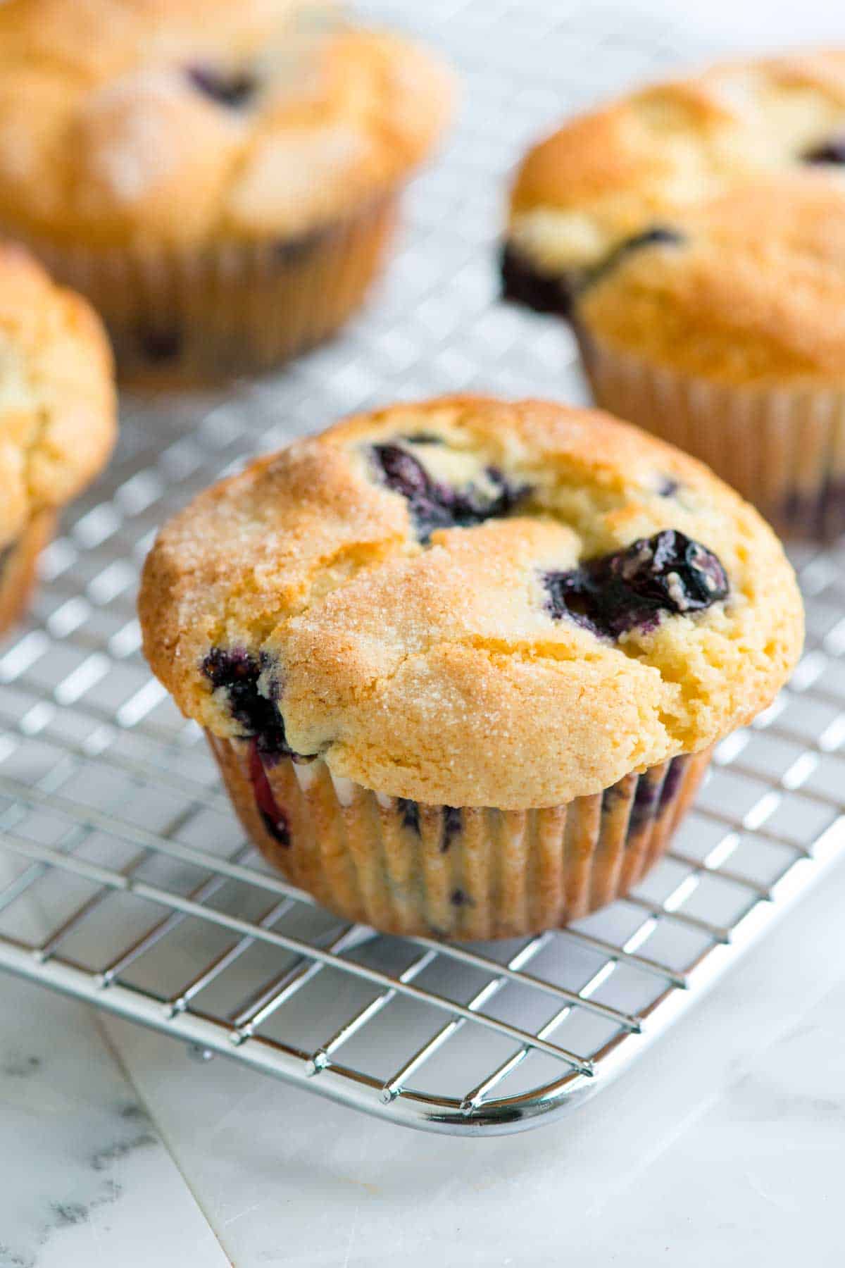 Plant based Blueberry protein muffin